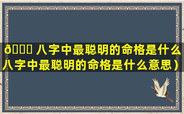 🐋 八字中最聪明的命格是什么（八字中最聪明的命格是什么意思）